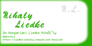 mihaly liedke business card